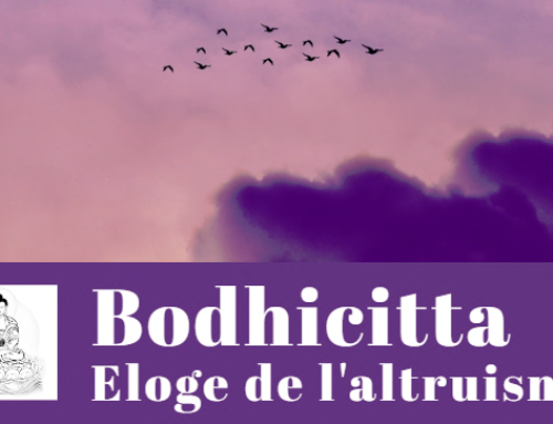 Bodhicitta: Exposé de Jérémy Lafitte le 17 mai